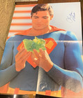 Christopher Reeve ~ Signed Autographed Superman Kryptonite P