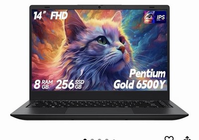 Affordable 14 Laptop 8GB RAM 256GB SSD Intel Pentium Gold Windows 11 Computer