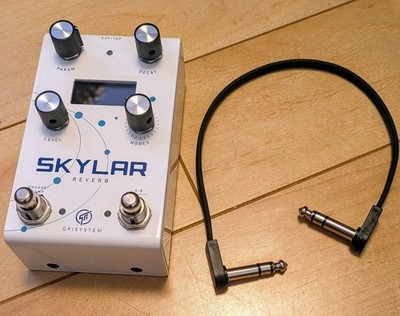 Gfi System Skylar EBS Stereo Riverbero Effekt Gitarre gebraucht