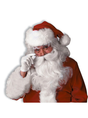 Deluxe Santa Wig and Beard Set Christmas Costume Accessory New
