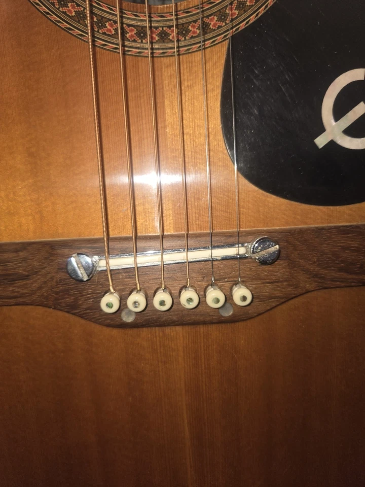 1970s Epiphone Blue Label Acoustic Guitar Ft 135 - Image 4 of 4