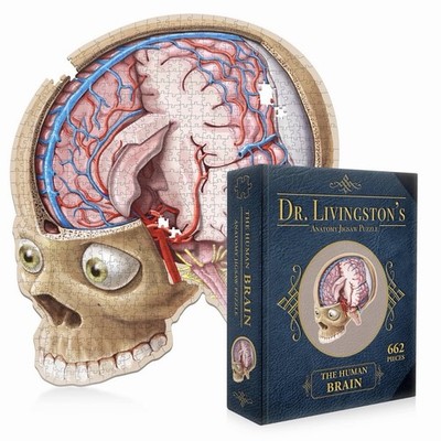 Dr. Livingston's Anatomy Jigsaw Puzzle: The Human Brain 662 Pieces - Sealed!!