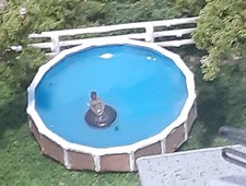 N Scale Swimming Pool