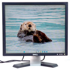 Dell E196FP 19 LCD TFT Monitor 5:4 VGA 1280x1024 Square Computer Monitor