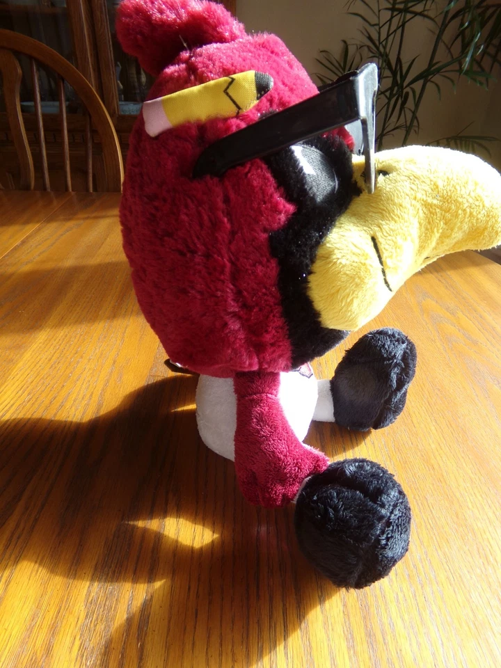 NFL Arizona Cardinals Gafas de Peluche Lápiz TEAM STUDY BUDDIES Mascota 14" Nuevo/WT Foto 4 de 4