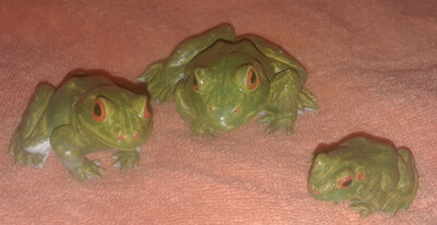 Green Frog Family Replicas - Realistic AAA