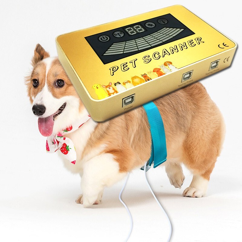 Pet Scanner Cat and Dog Scan Quantum Magnetic Resonance Analyzer