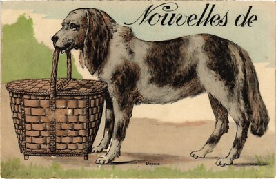 CPA AK Dog with a Basket DOGS (1388405)
