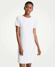 Ann Taylor - Woman's Size 10 White Wavy Embroidery Shift Dress $139.00 (U208)