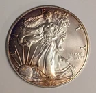 2020 Toned American Silver Eagle 1 oz .999 Fine ~ ASE