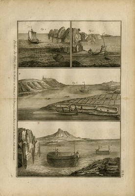 Antique Print-A depiction of different aspects of the oyster culture-Benard-1779
