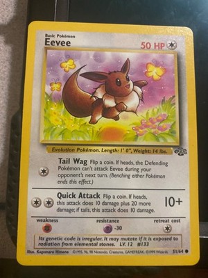 Eevee 51/64 Jungle Regular