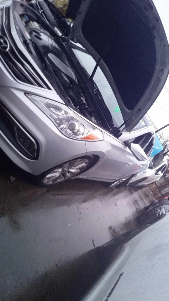 Apoyabrazos de puerta usado se adapta a: Hyundai Azera 2016 grado B Foto 3 de 4