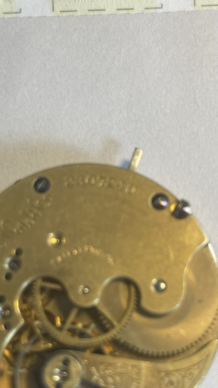 Picture 6 of 9
