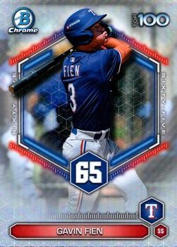 Gavin Fien #BTP-65