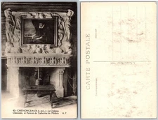 Chenonceaux Chateau Catherine De Medici Portrait Postcard