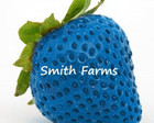 200+ SEEDS Cerulean Blue Strawberries Edible Healthy Fruit Garden Strawberry