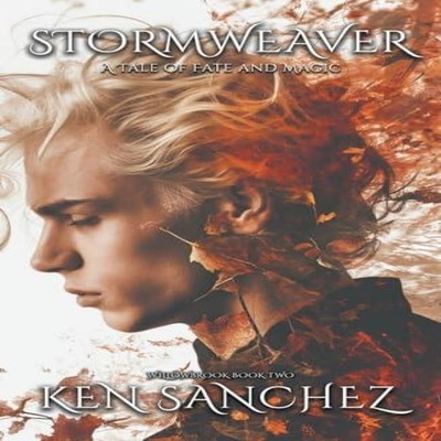 Stormweaver (Willowbrook Book Two) Ken Sanchez Paperback Draft2Di
