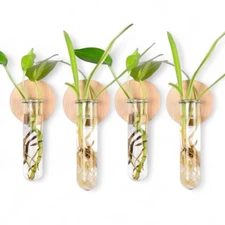 MITIME Wall Hanging Planter Glass Plant Propagation Station stand, Pack Of 4