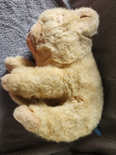 1979 GUND HONEY TEDDY BEAR COLLECTORS CLASSIC STUFFED ANIMAL PLUSH TOY VTG - Picture 4 of 8