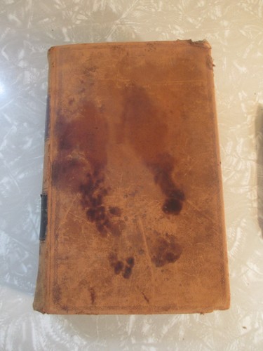 Antique Leather bound 1846 Hard Cover Book Commentaries on the Laws of England - Imagen 2 de 16