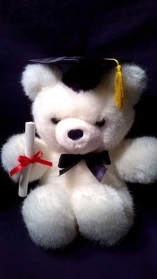 graduation teddy bear kmart