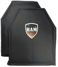 Body Armor | Bullet Proof Insert | Level IIIA - 3A | 10x12- Pair | Mfg 2025