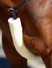 Kentucky Horsewear - Vorderzeugschoner KY Lam...