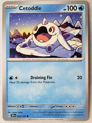 Cetoddle 053/191 NM / M Surging Sparks Pokemon Card $2 Combined