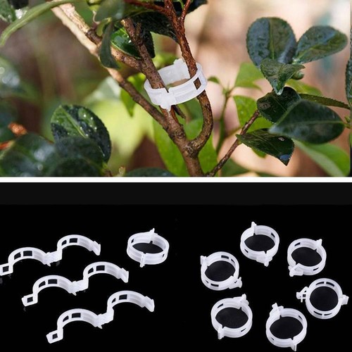 10pcs Garden Vegetables Tomato Vine Stalks Grow Upright Support Plant~ - Picture 10 of 18