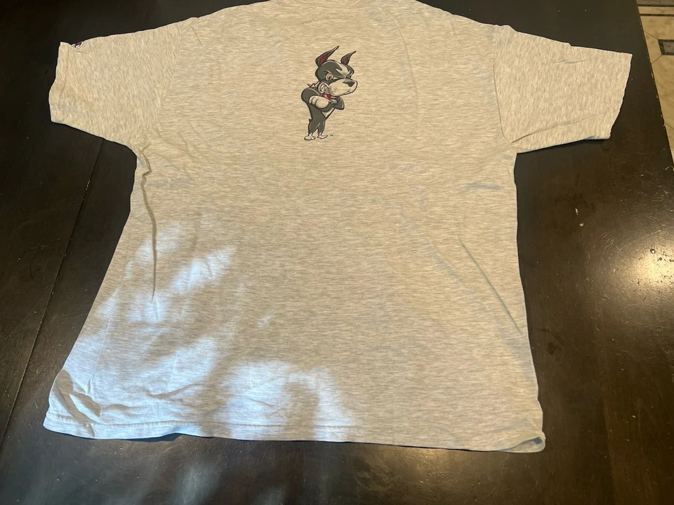 Camiseta De Colección Años 90 Boston University Terriers Champion Gráfica Hombres XL Foto 4 de 4