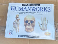 Eyewitness Human Works 18" Human Skeleton Kit New Factory Sealed Free Ship
