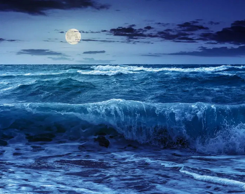OCEAN WAVES CD - RELAXATION STRESS SLEEP AID CALM NATURE NATURAL SOUNDS - Image 2 of 3