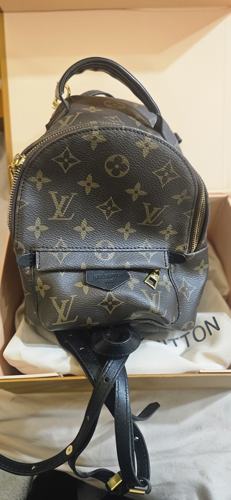 Mini Backpack - image 1