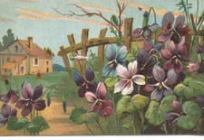 cpa fantaisie fleurs