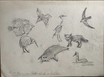 :FRANZ EHMKE  *1928-2018 DDR MALER PASTELL TIERE SKIZZEN VÖGEL ROBBE FISCH FUCHS - Bild 1 von 3