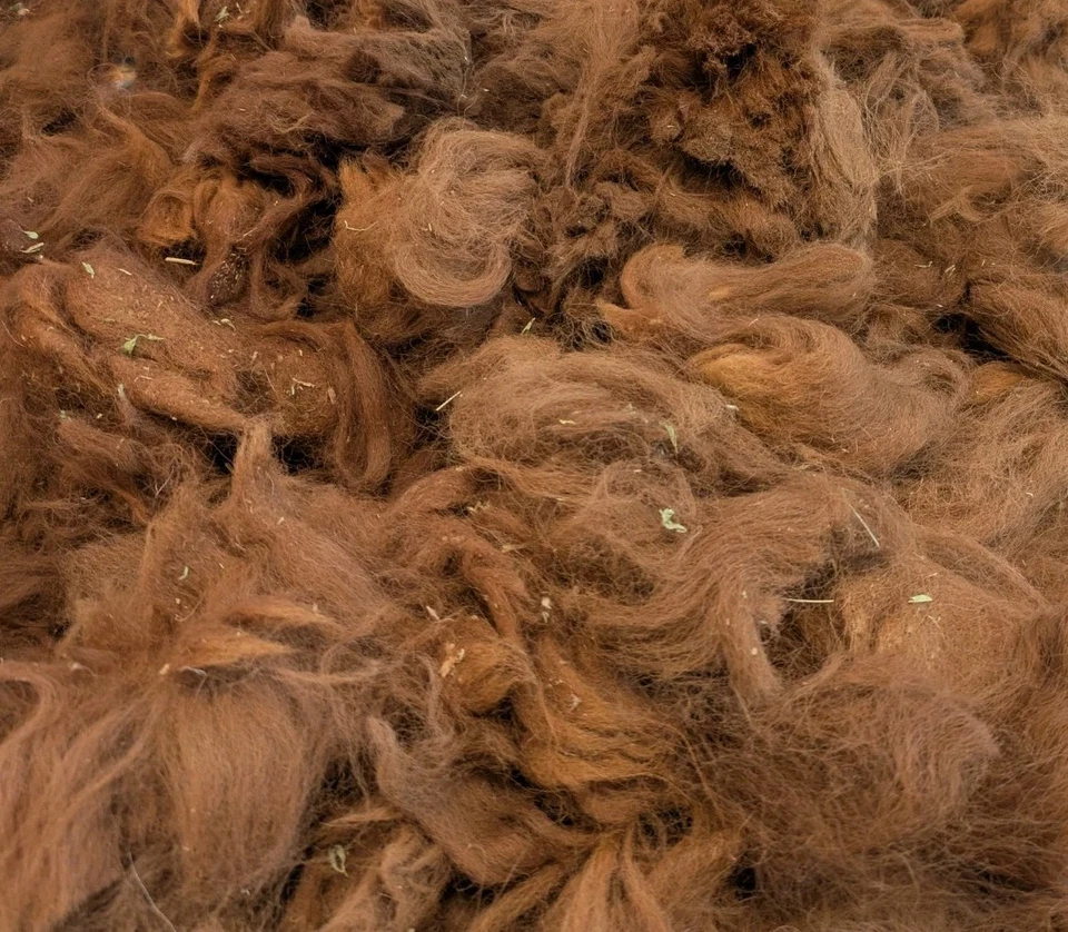 Raw Alpaca Fleece Wool Thirds Spinning Felting Crafts, Red Brown, 8 Oz - Image 2 of 2