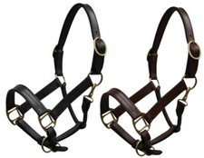 Yearling Leather Halter w/ Brass Hardware