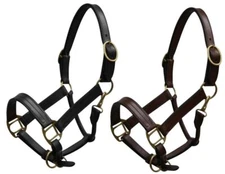 Yearling Leather Halter w/ Brass Hardware
