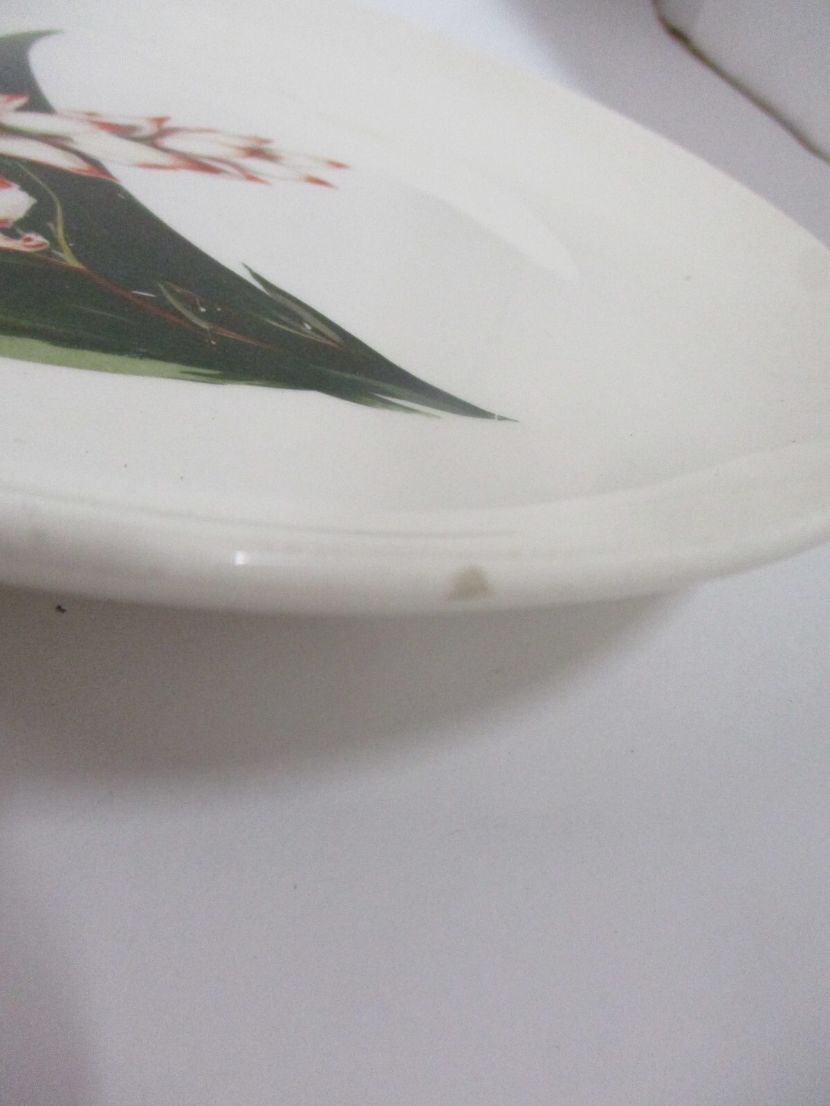 Santa Anita Ware Flowers of Hawaii SHELL GINGER 8" Plate