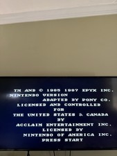 Winter Games 1987 NES Nintendo Game -