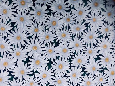 Gänseblümchen Blume Florist Timeless Treasures 100% Baumwollstoff Ideal für Gesichtsmasken