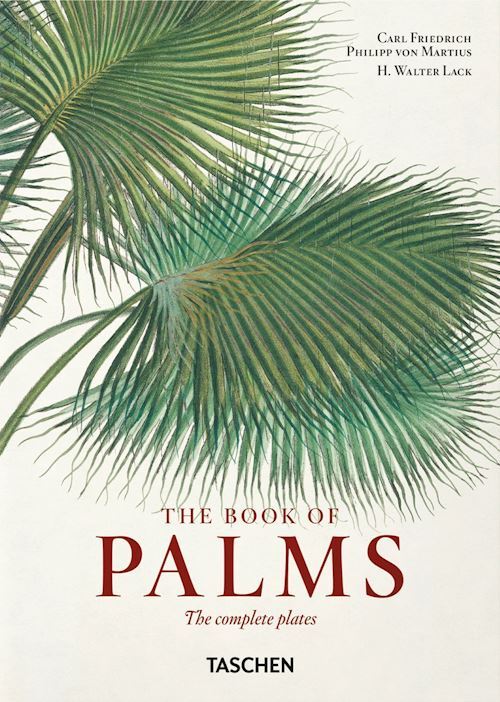 THE BOOK OF PALMS  - 40TH ANNIVERSARY EDITION  - LACK H. WALTER, MARTIUS CARL