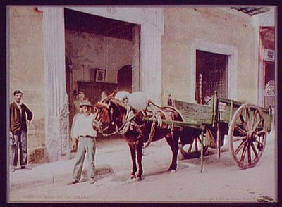 Un Mulo,carts,wagons,mules,travel,Habana,Havana,Cuba,William H Jackson,c1900