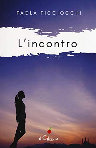 9788867715930 L'incontro - Paola Picciocchi