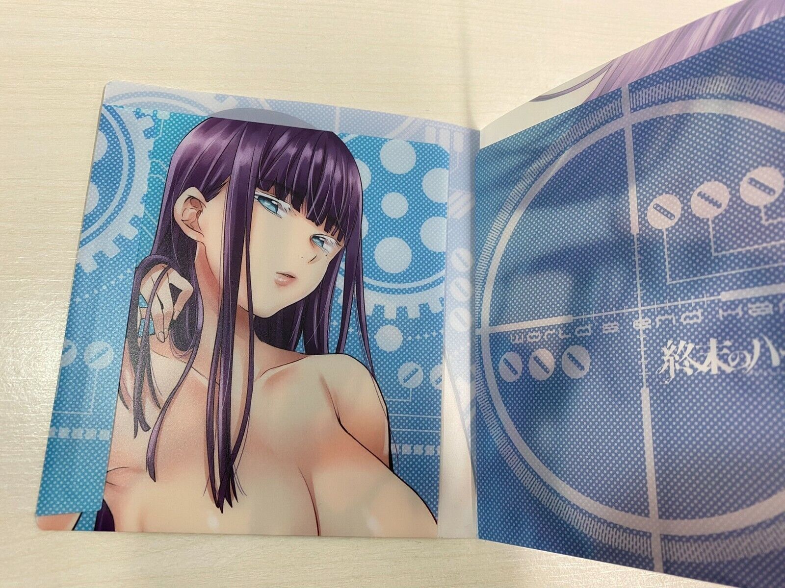 World's End Harem (Shuumatsu no Harem) Official Guidebook world's