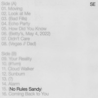 Sylvan Esso - No Rules Sandy - Vinyl Record - G3Z
