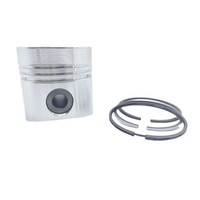 Kolben + Kolbenring-Satz (1,00 Mm ÜBergrößE – 101,00 Mm): Kompatibel Mit Lombard