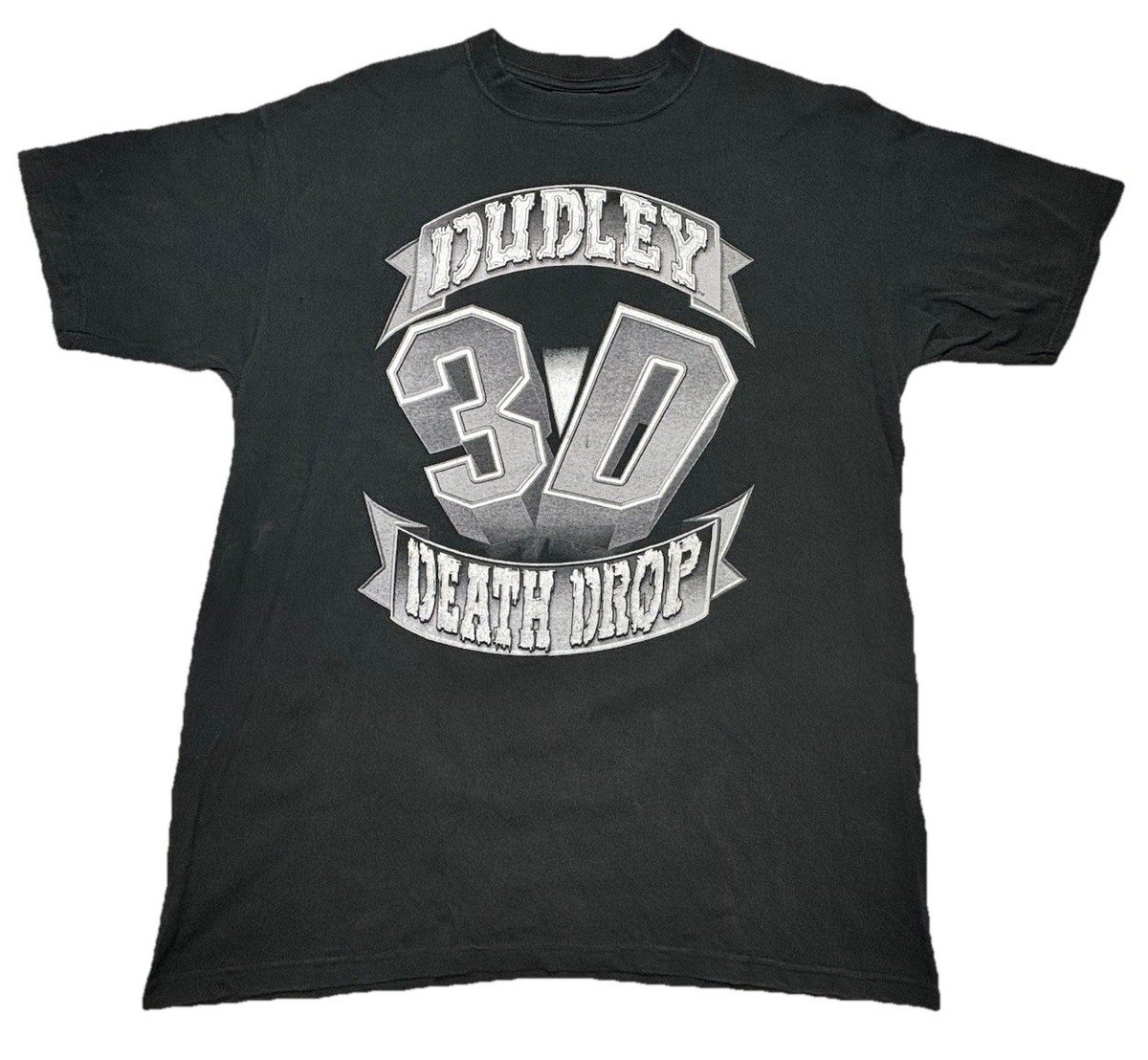 Vintage Dudley Boyz 3D Death Drop WWF Wrestling Shirt XL Attitude 