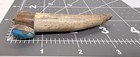 Wicked Old Pawn Sterling Turquoise Native American Deer Antler Tip Pendant — photo 10